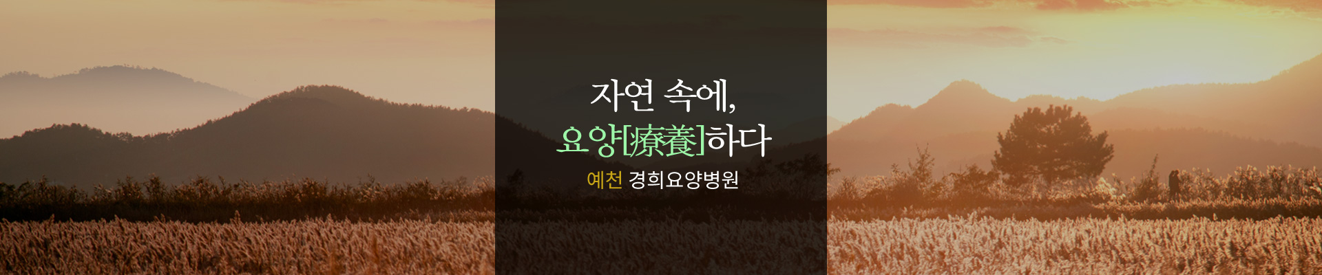 예천요양병원